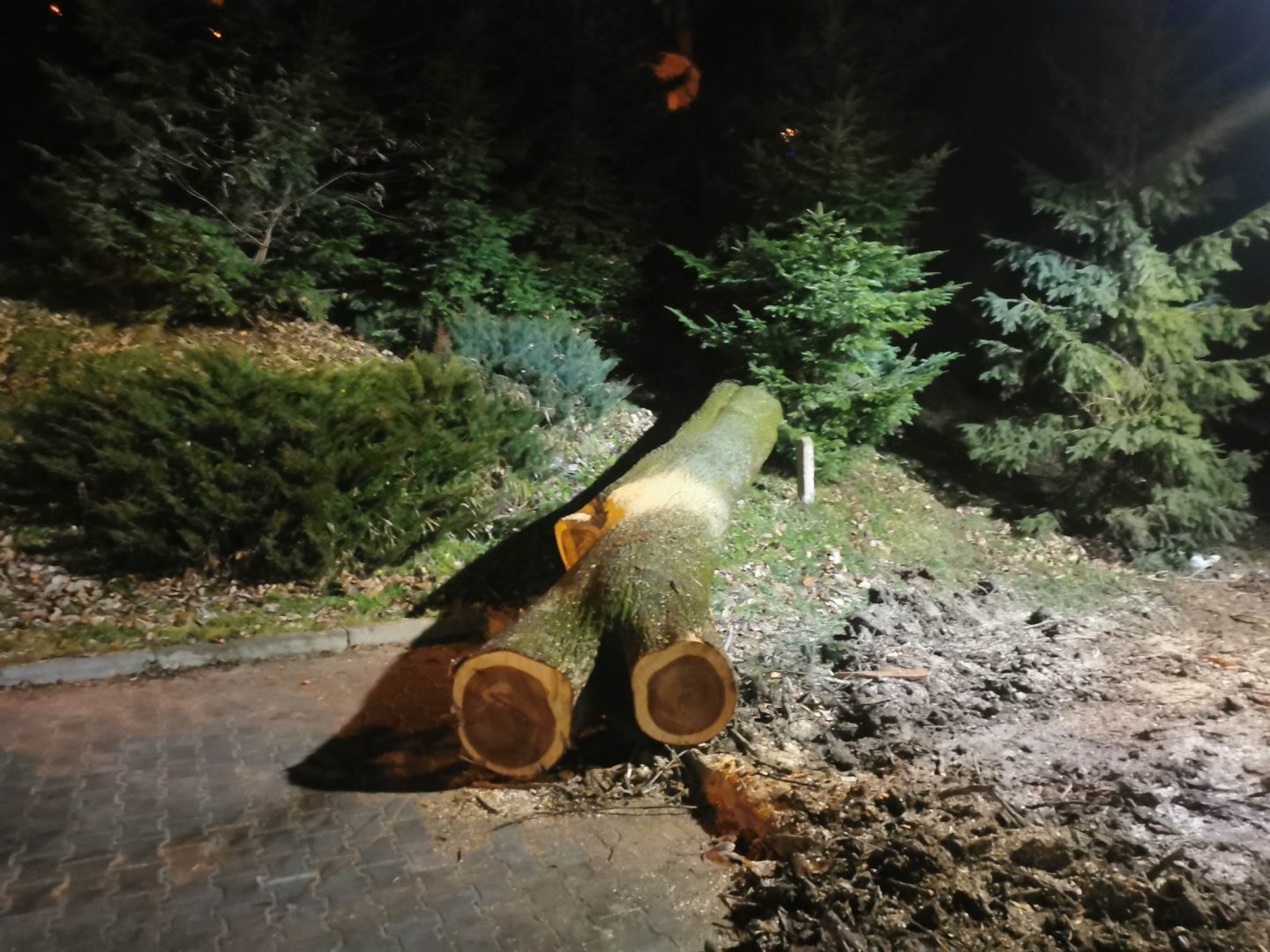 Grybów, uszkodzone pojazdy, wycinka drzew, Bazylika Mniejsza, parking