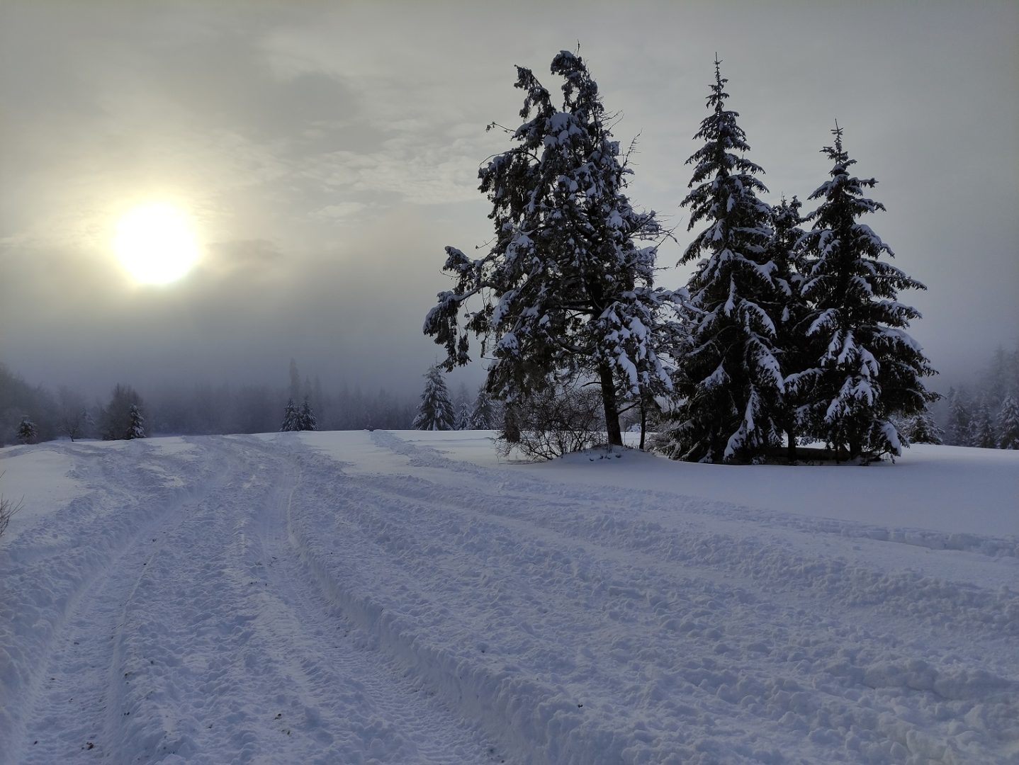 Pasmo Radziejowej, Beskid Sądecki, zgniły wyż, inwersja