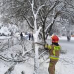 atak zimy, Sądecczyzna, połamane drzewa, zerwane linie energetyczne, Krynica-Zdrój