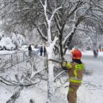 atak zimy, Sądecczyzna, połamane drzewa, zerwane linie energetyczne, Krynica-Zdrój