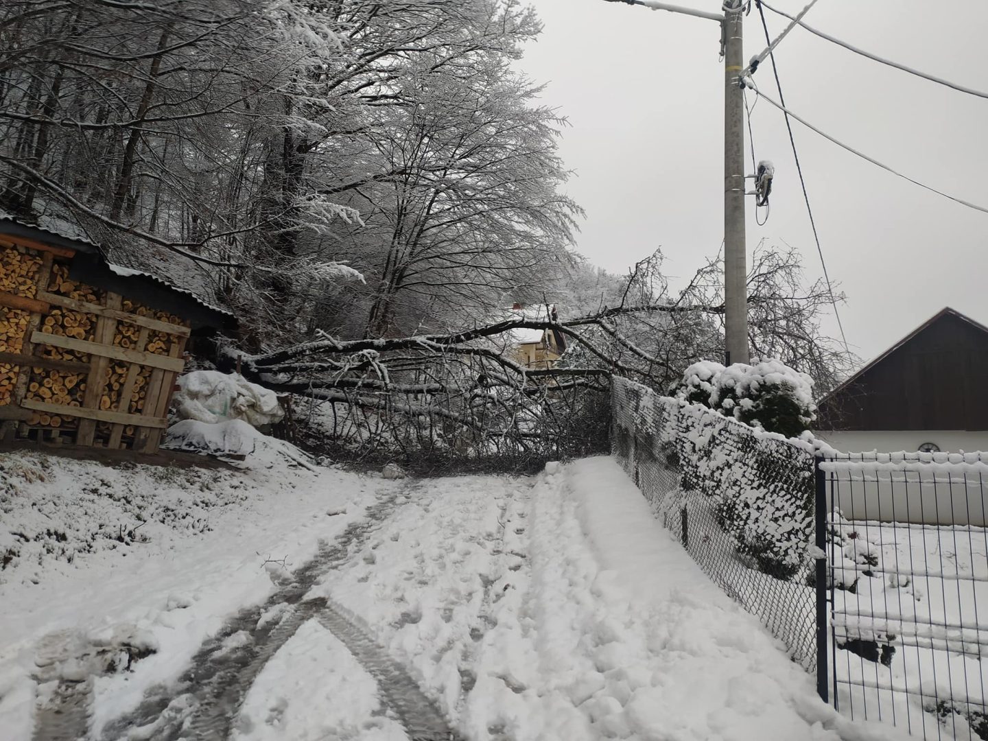 atak zimy, Sądecczyzna, śmierć 70-latki, Wawrzka