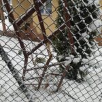 atak zimy, Sądecczyzna, śmierć 70-latki, Wawrzka