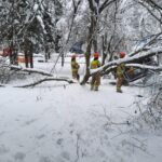 atak zimy, Sądecczyzna, połamane drzewa, zerwane linie energetyczne, Krynica-Zdrój