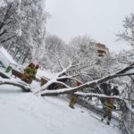 atak zimy, Sądecczyzna, połamane drzewa, zerwane linie energetyczne, Krynica-Zdrój