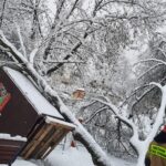 atak zimy, Sądecczyzna, połamane drzewa, zerwane linie energetyczne, Krynica-Zdrój