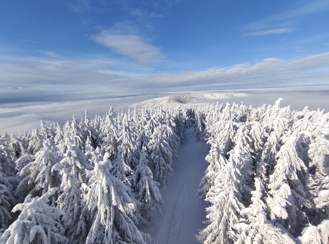 Pasmo Radziejowej, Beskid Sądecki, zgniły wyż, inwersja