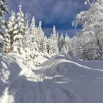 Pasmo Radziejowej, Beskid Sądecki, zgniły wyż, inwersja