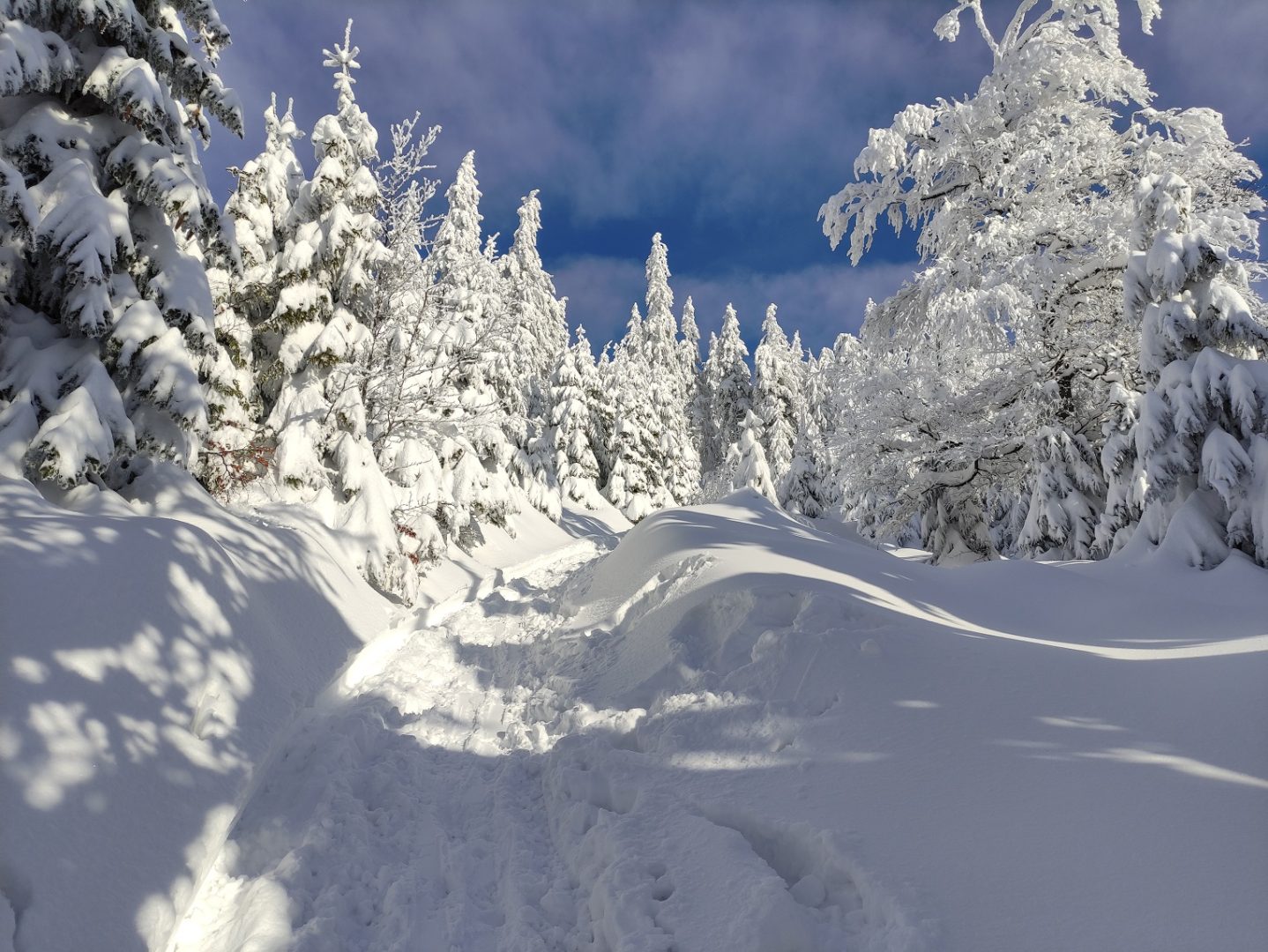 Pasmo Radziejowej, Beskid Sądecki, zgniły wyż, inwersja