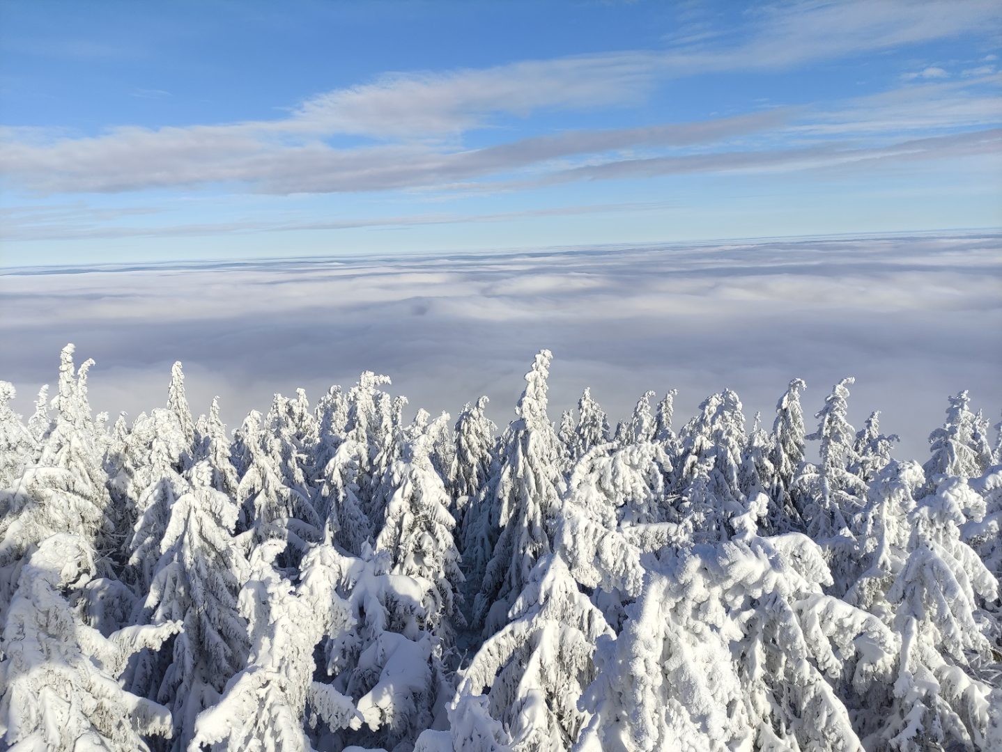 Pasmo Radziejowej, Beskid Sądecki, zgniły wyż, inwersja
