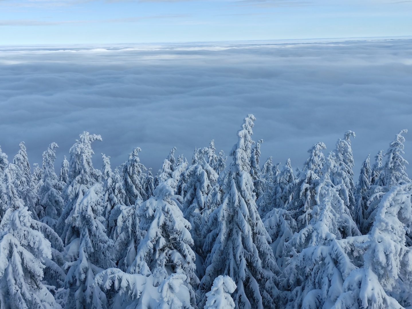 Pasmo Radziejowej, Beskid Sądecki, zgniły wyż, inwersja