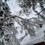 atak zimy, Sądecczyzna, połamane drzewa, zerwane linie energetyczne, Krynica-Zdrój
