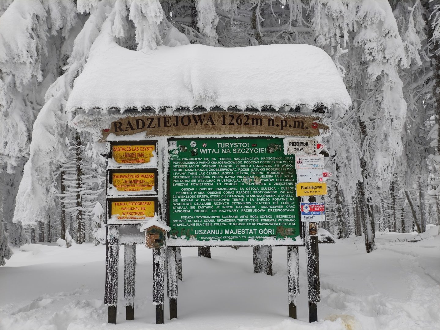 Pasmo Radziejowej, Beskid Sądecki, zgniły wyż, inwersja
