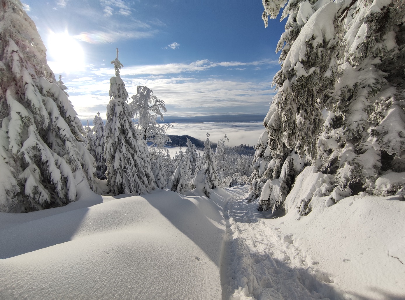 Pasmo Radziejowej, Beskid Sądecki, zgniły wyż, inwersja