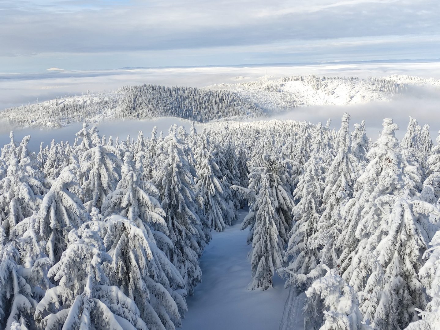 Pasmo Radziejowej, Beskid Sądecki, zgniły wyż, inwersja