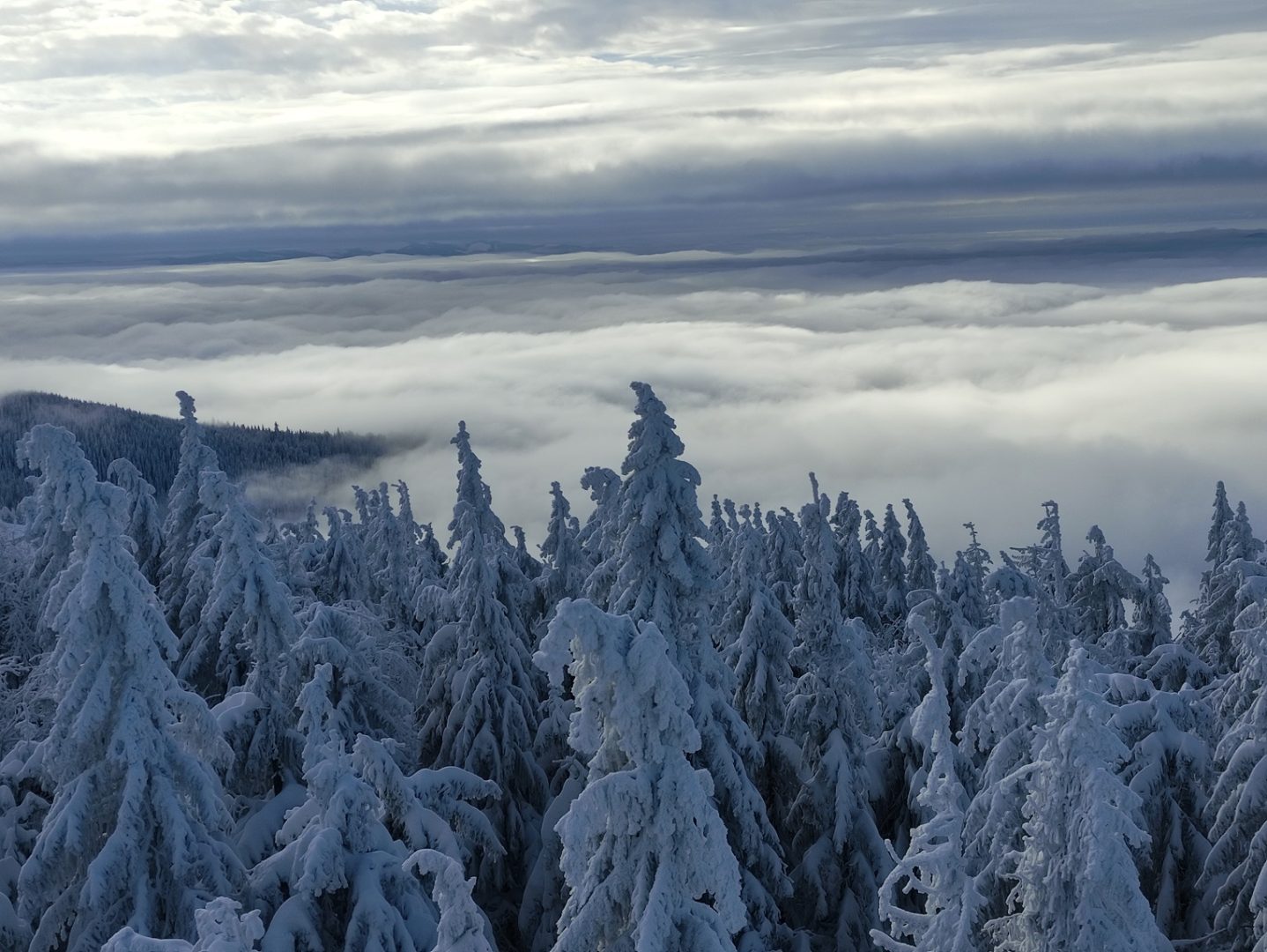 Pasmo Radziejowej, Beskid Sądecki, zgniły wyż, inwersja