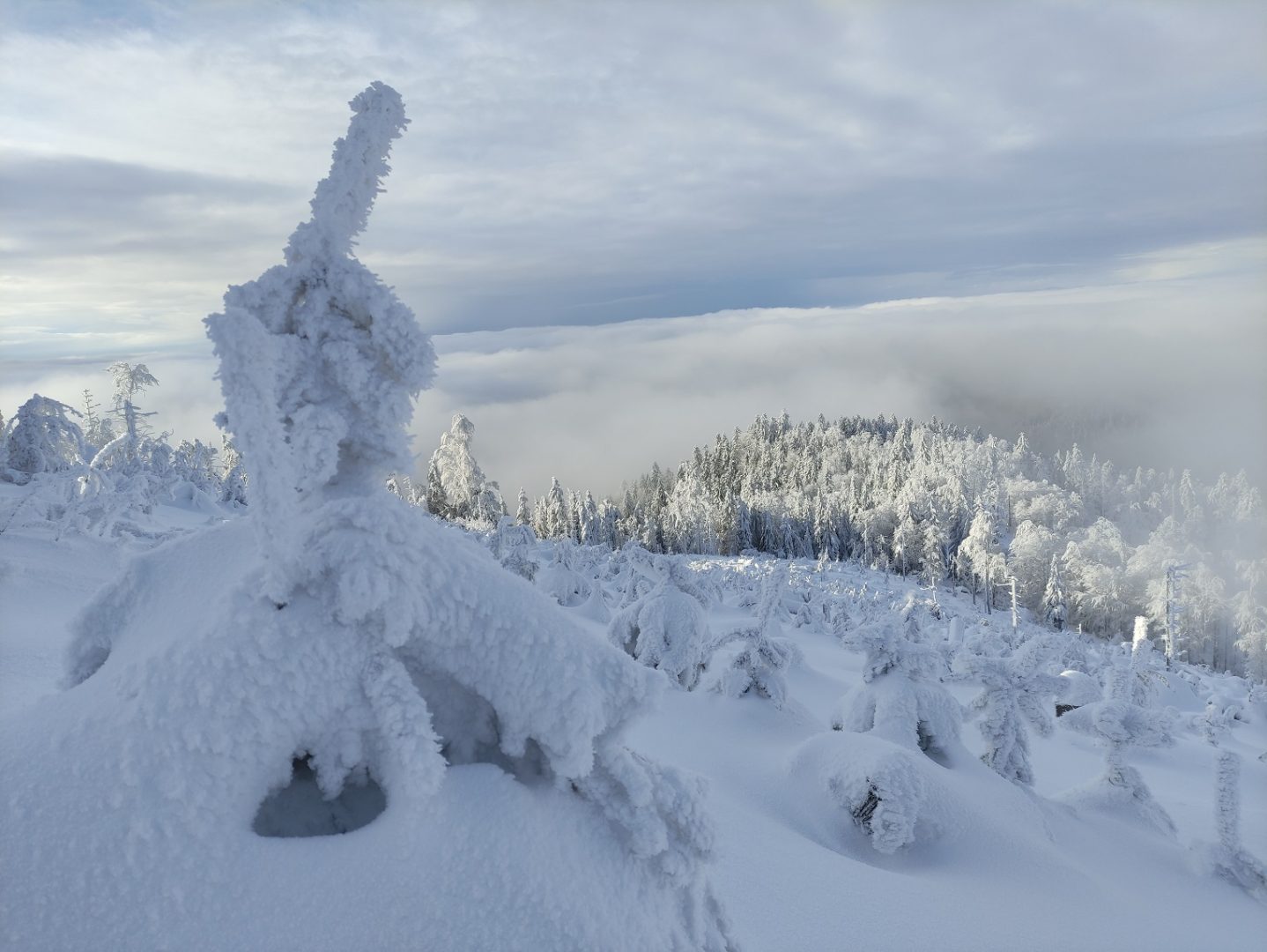 Pasmo Radziejowej, Beskid Sądecki, zgniły wyż, inwersja