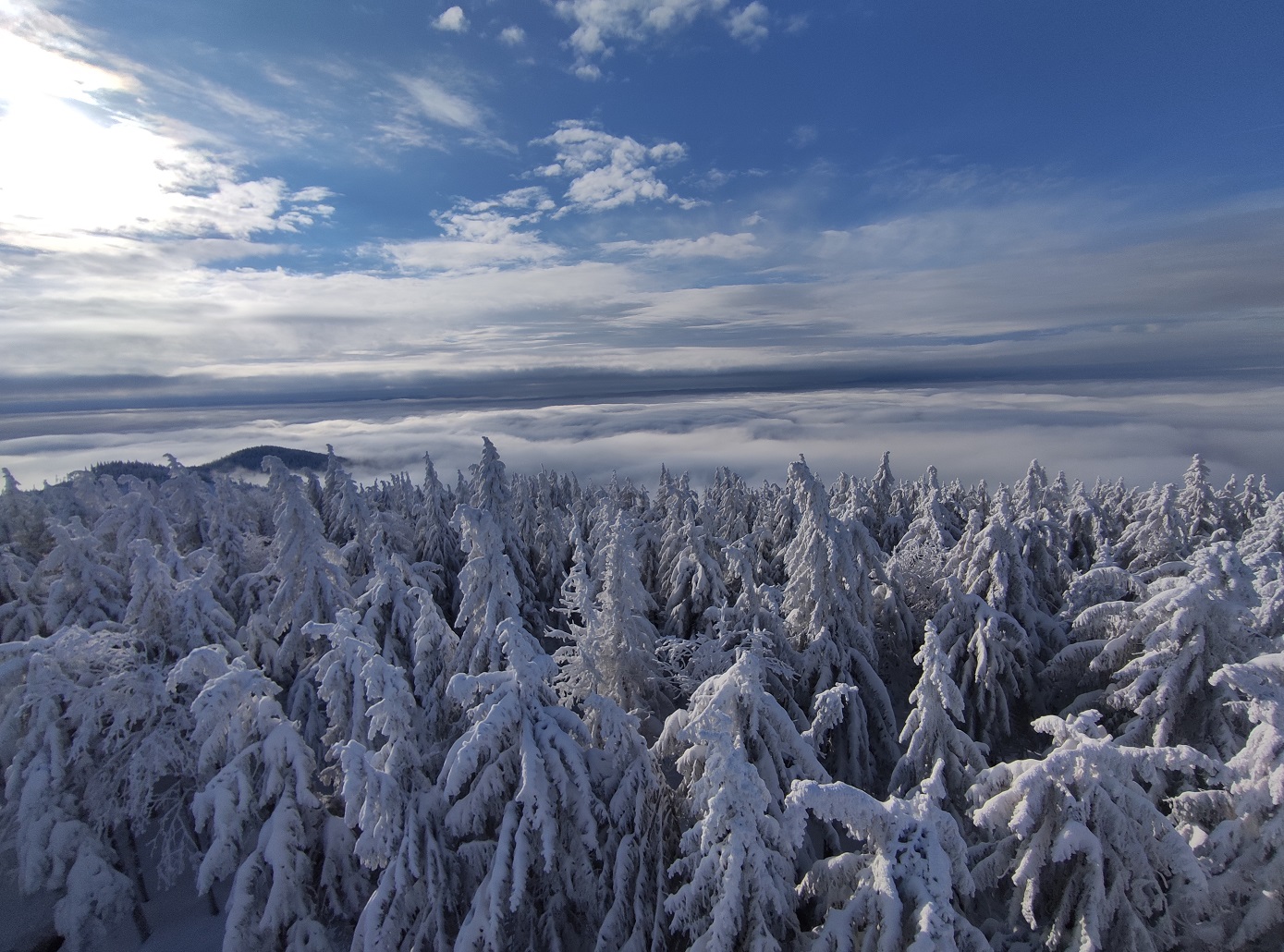 Pasmo Radziejowej, Beskid Sądecki, zgniły wyż, inwersja