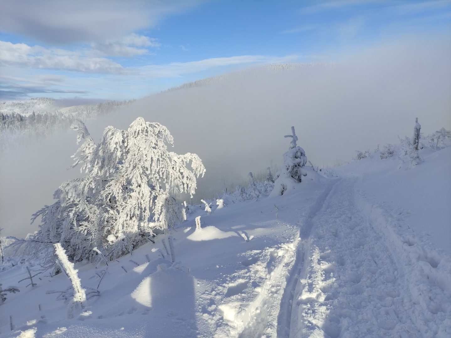 Pasmo Radziejowej, Beskid Sądecki, zgniły wyż, inwersja