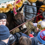 Nowosądecki Pokłon Trzech Króli Nowy Sącz 2023