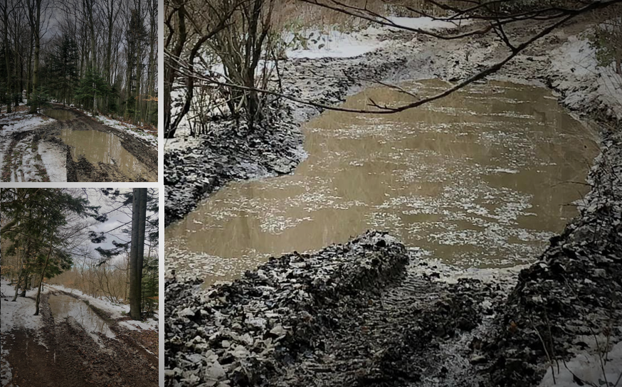Beskid Wyspowy, zdjęcia od turystki, zniszczenia