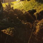 Grybów, uszkodzone pojazdy, wycinka drzew, Bazylika Mniejsza, parking