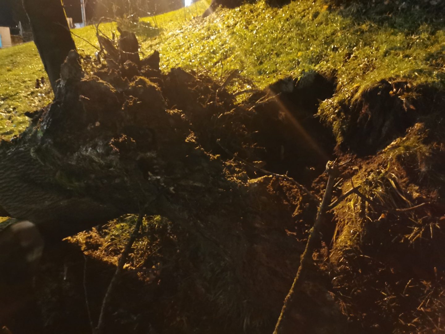Grybów, uszkodzone pojazdy, wycinka drzew, Bazylika Mniejsza, parking