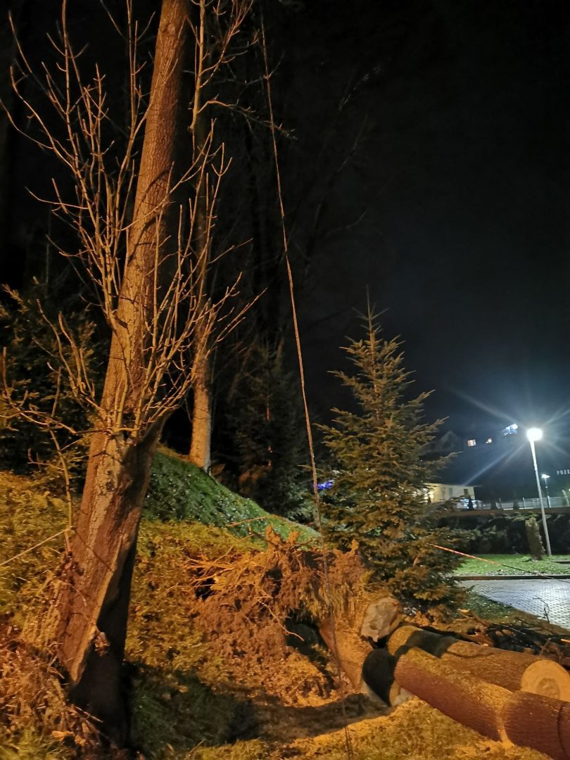 Grybów, uszkodzone pojazdy, wycinka drzew, Bazylika Mniejsza, parking