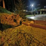 Grybów, uszkodzone pojazdy, wycinka drzew, Bazylika Mniejsza, parking