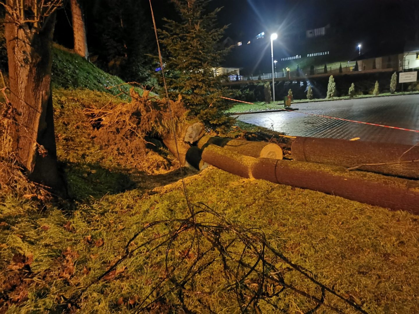 Grybów, uszkodzone pojazdy, wycinka drzew, Bazylika Mniejsza, parking