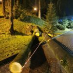 Grybów, uszkodzone pojazdy, wycinka drzew, Bazylika Mniejsza, parking