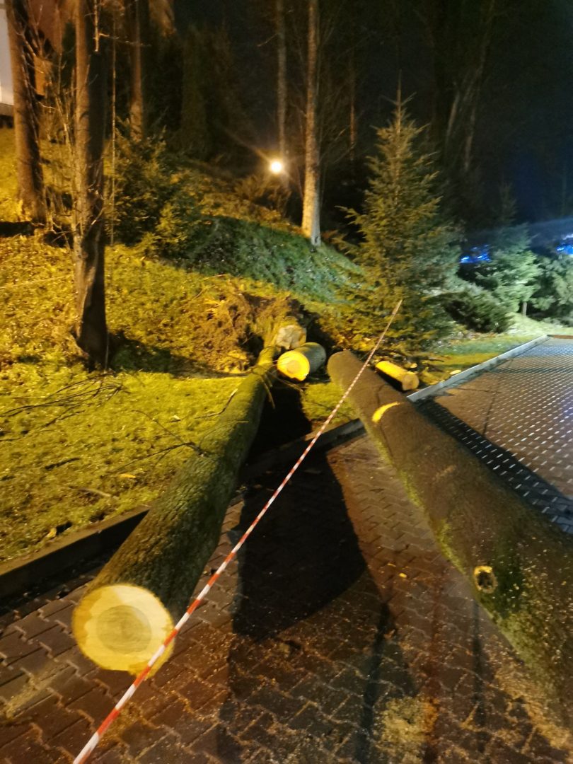 Grybów, uszkodzone pojazdy, wycinka drzew, Bazylika Mniejsza, parking