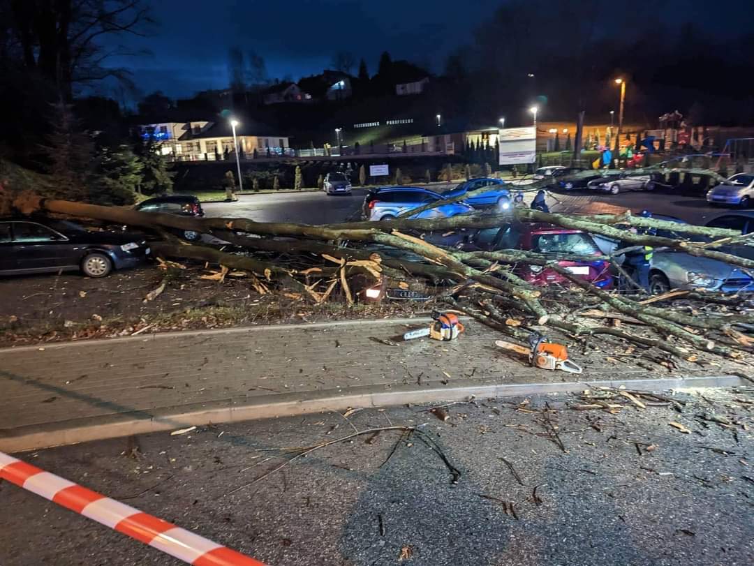 Grybów, uszkodzone pojazdy, wycinka drzew, Bazylika Mniejsza, parking