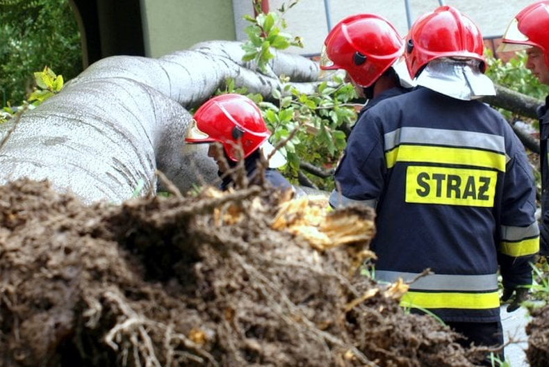 straż, wiatr