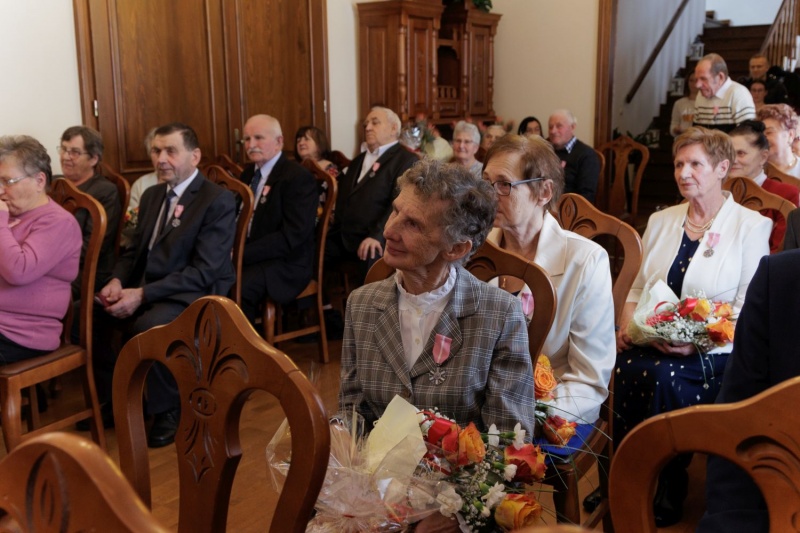 złote gody Korzenna