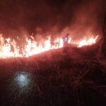pożar traw Sądecczyzna