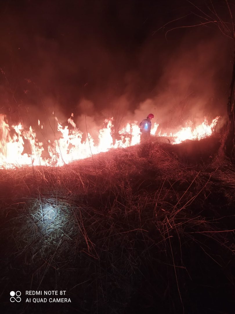 pożar traw Sądecczyzna
