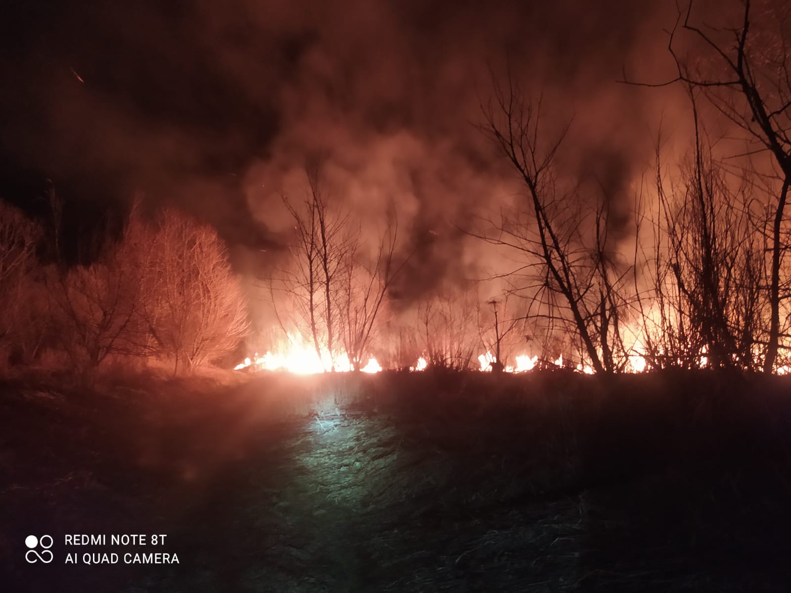 pożar traw Sądecczyzna