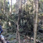 Stara Wieś, wypadek w lesie, nie żyje 50-latek