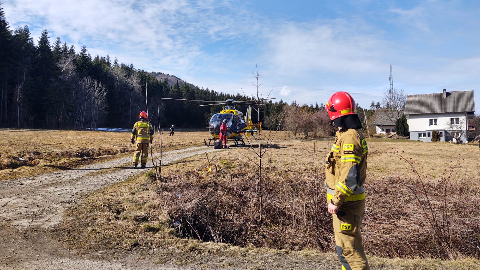 Stara Wieś, wypadek w lesie, nie żyje 50-latek