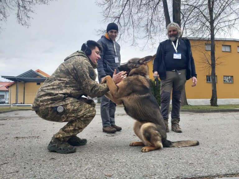 Szkolili psy, by odnajdywały ładunki wybuchowe w Ukrainie. „Saperzy” wyruszą na wojnę