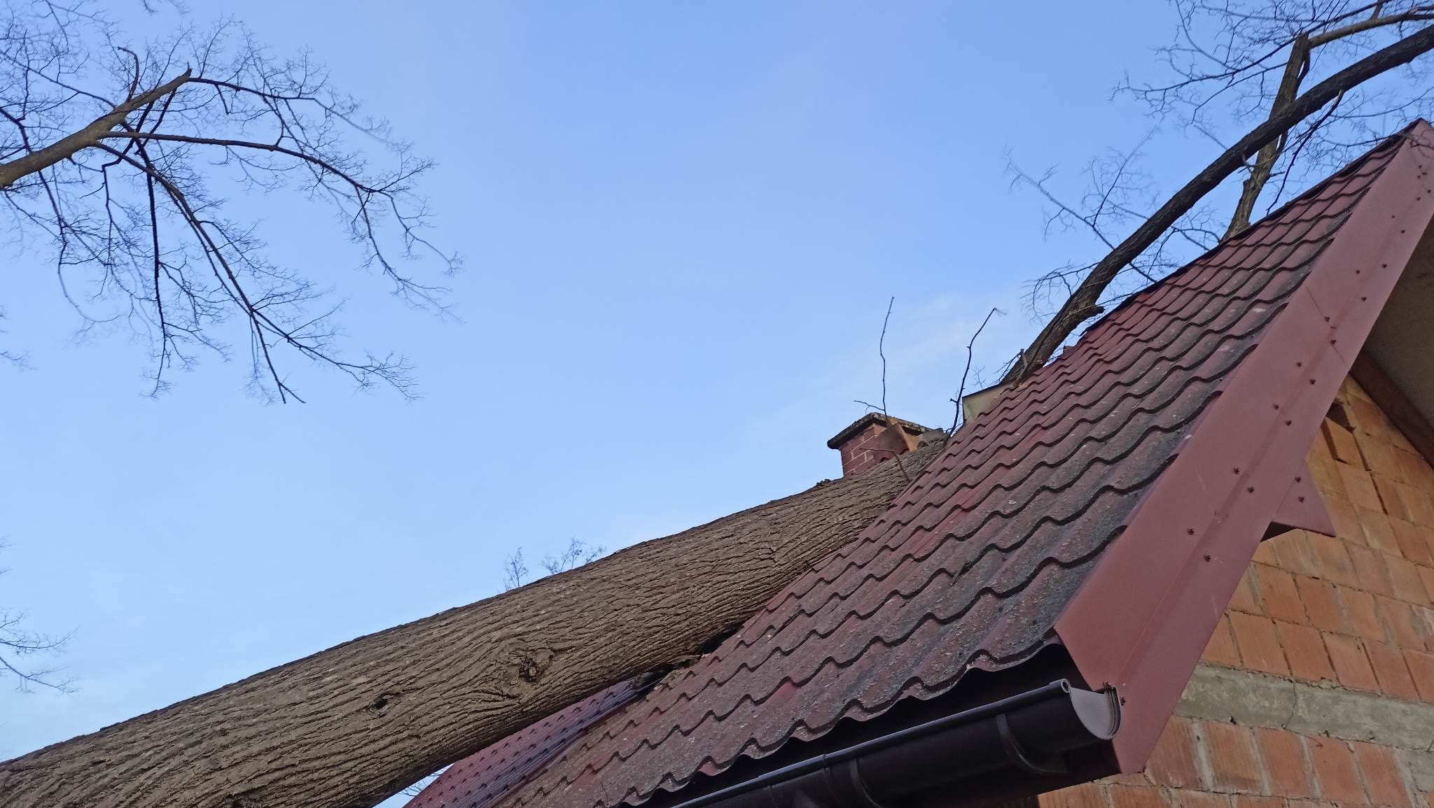 Stary Sącz, wiatr