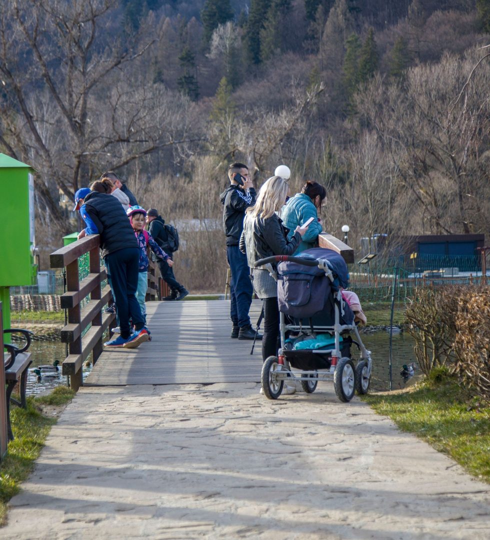 Krokusy, Muszyna