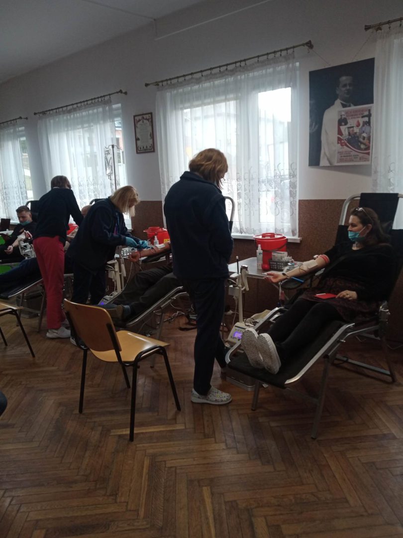 krwiodawstwo Korzenna