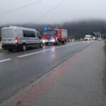 Mszana Dolna, dk28, dachowanie