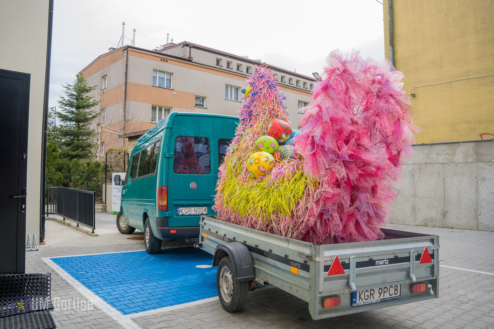 kura Bronia, Gorlice