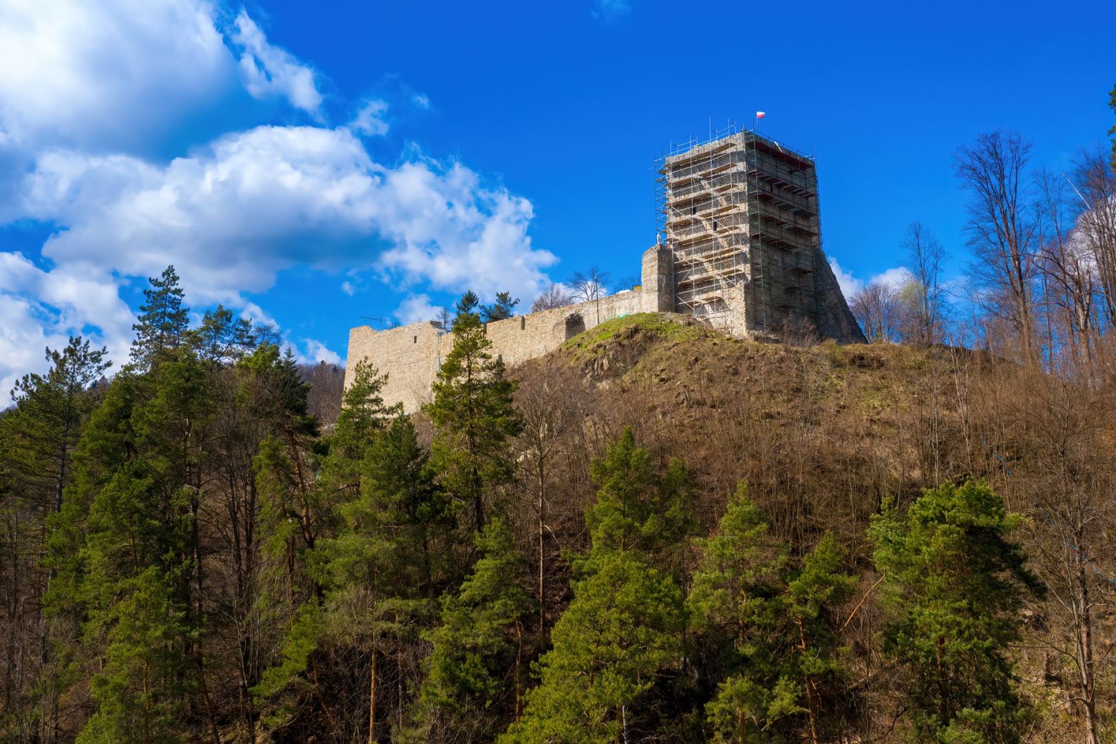 zamek Muszyna, odbudowa