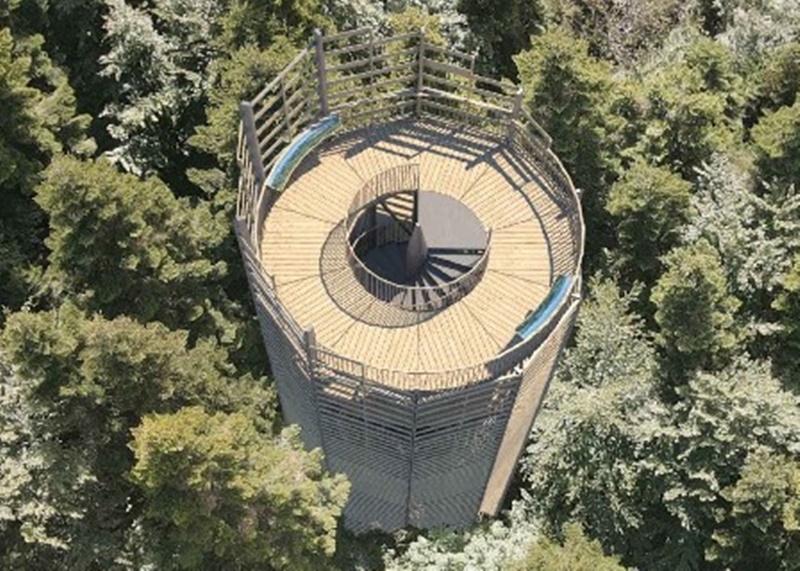 wieża widokowa, Dominikowice, Łysula