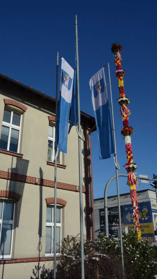 palma, Chełmiec