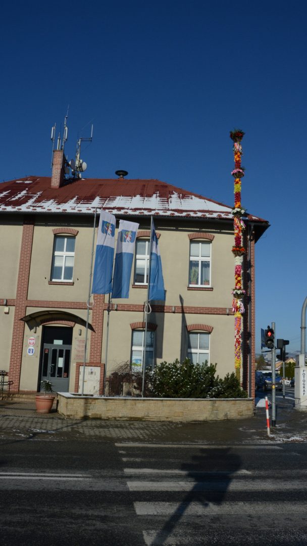 palma, Chełmiec