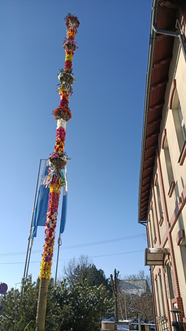 palma, Chełmiec